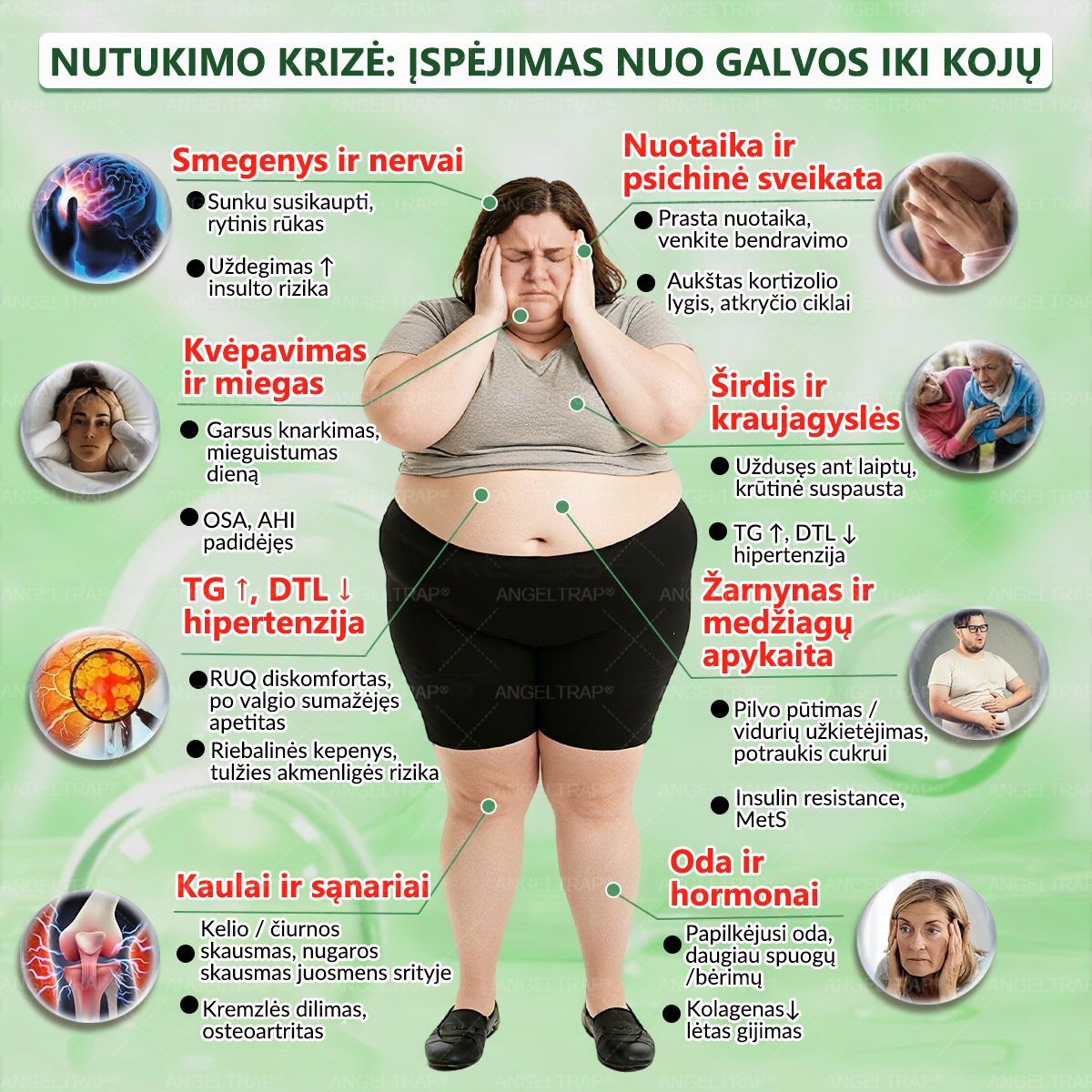 👩‍⚕️ 𝐴𝑁𝐺𝐸𝐿𝑇𝑅𝐴𝑃® 𝐌𝐨𝐫𝐢𝐧𝐠𝐚 × 𝐁𝐞𝐫𝐛𝐞𝐫𝐲𝐧𝐚 × 𝐀𝐌𝐏𝐊 𝟏𝟎 в 𝟏 – Nano mikroadatinis pleistras svorio metimui | Tik 1 kartą per dieną ✅ Matomi pokyčiai per 𝟕 dienas – nutukimui, širdies ir kraujagyslių sveikatai, diabetui ir sąnarių problemoms gydyti